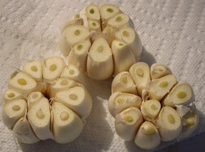 garlic